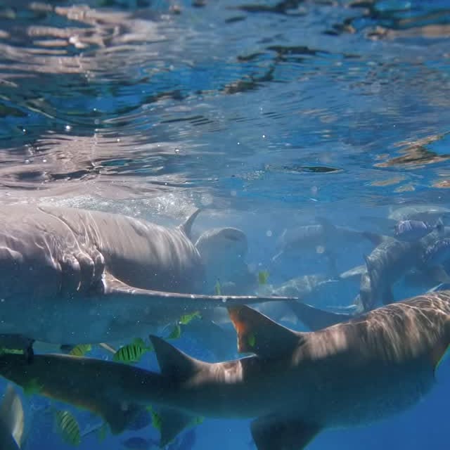 Post by _thetravelhubcollection