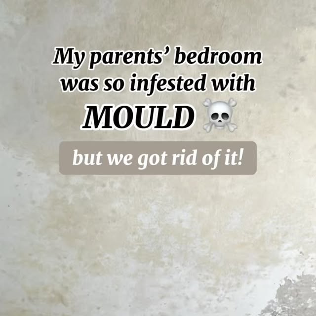 Post by northshoreloft