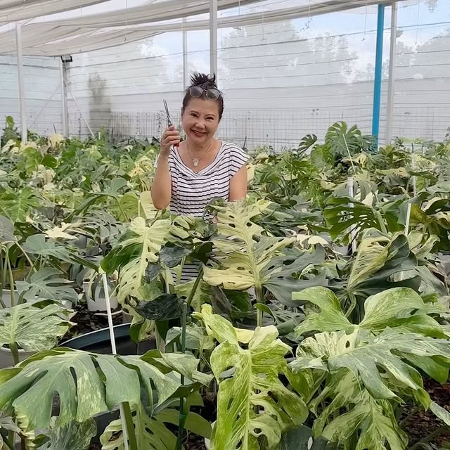 Post by mama.treehouse