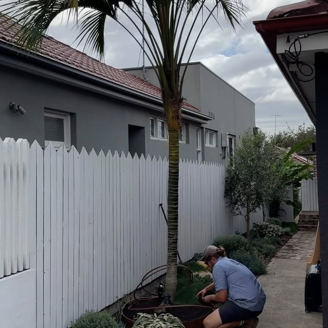 Post by bestmatelandscapes