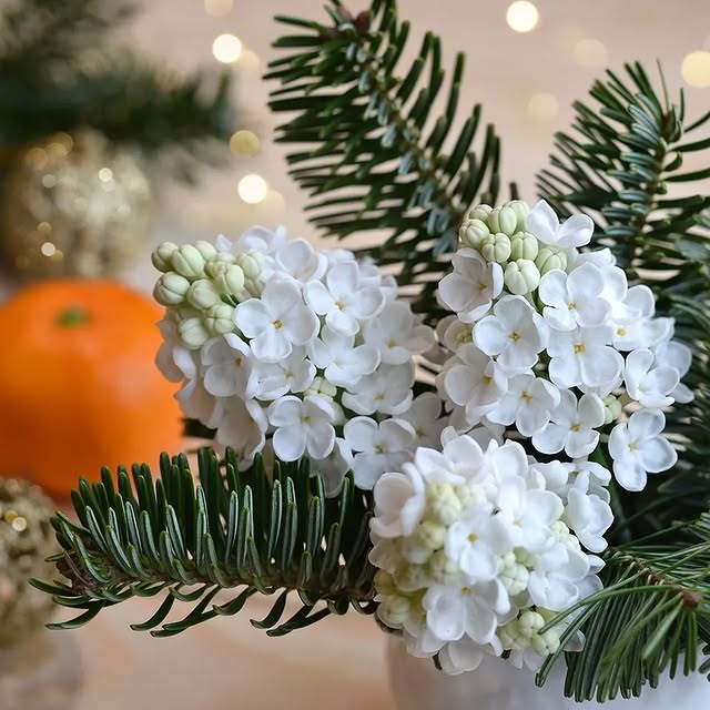 Post by svetasaz_flowers