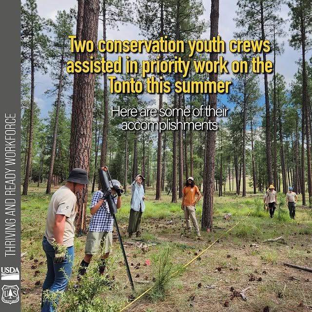 Post by tontonationalforest