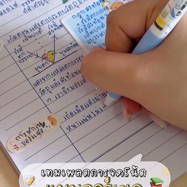 Post by nnlazy.studygram