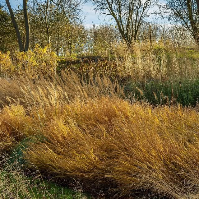 Post by jeremy.n.allen