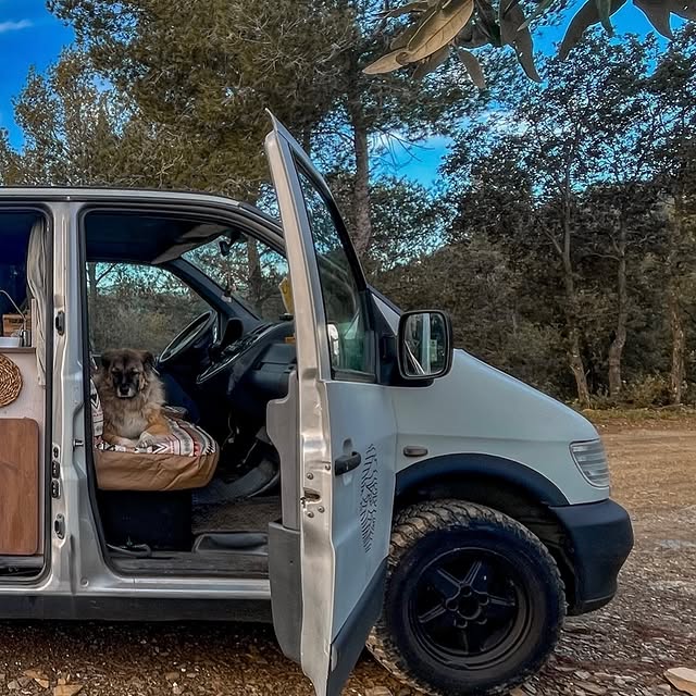 Post by vanlifecamper