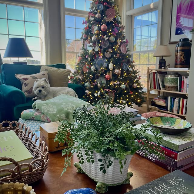 Post by houseandgardendog