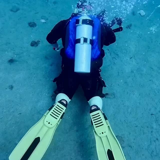 Post by critter.hunter