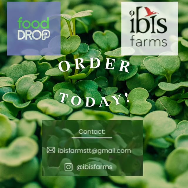 Post by ibisfarms