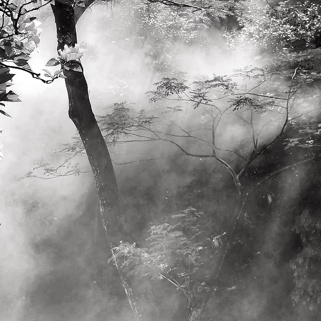 Post by tuckitori