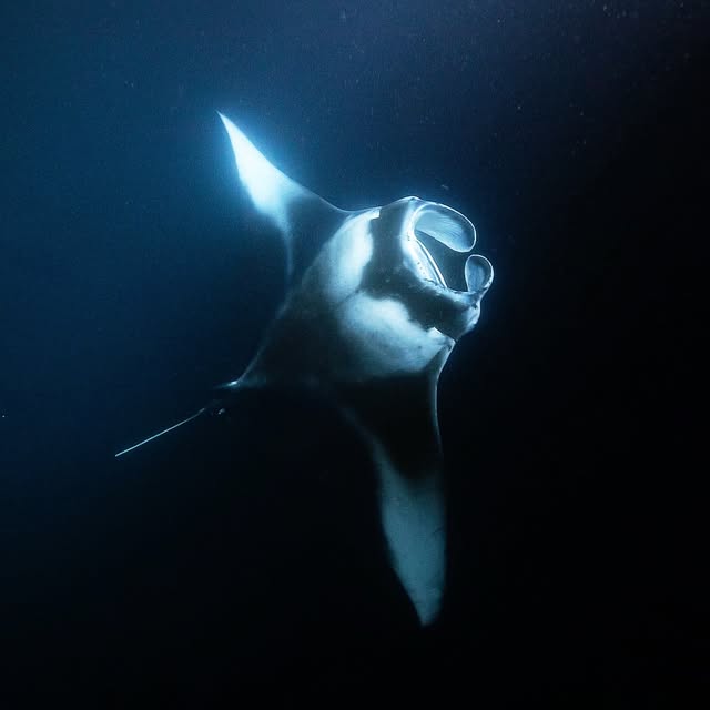 Post by akky_underwater