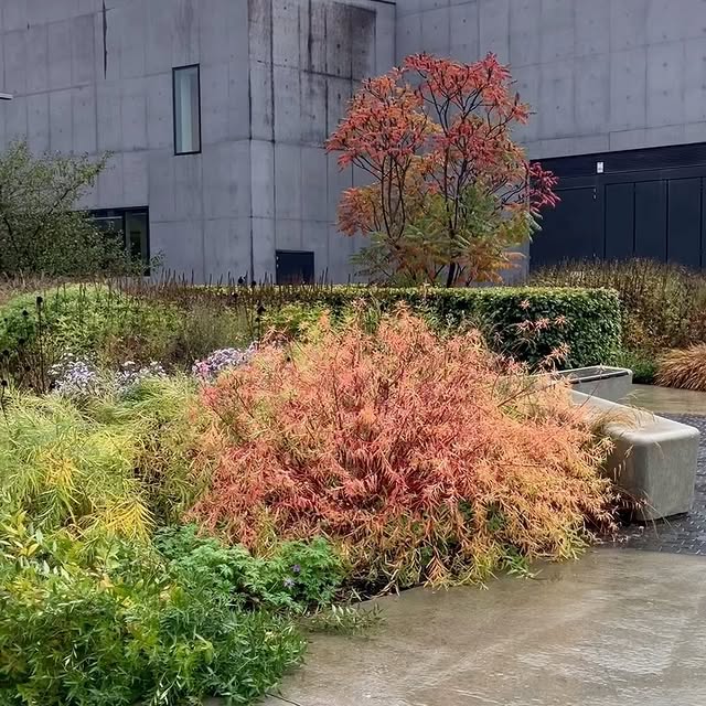 Post by katymerrington