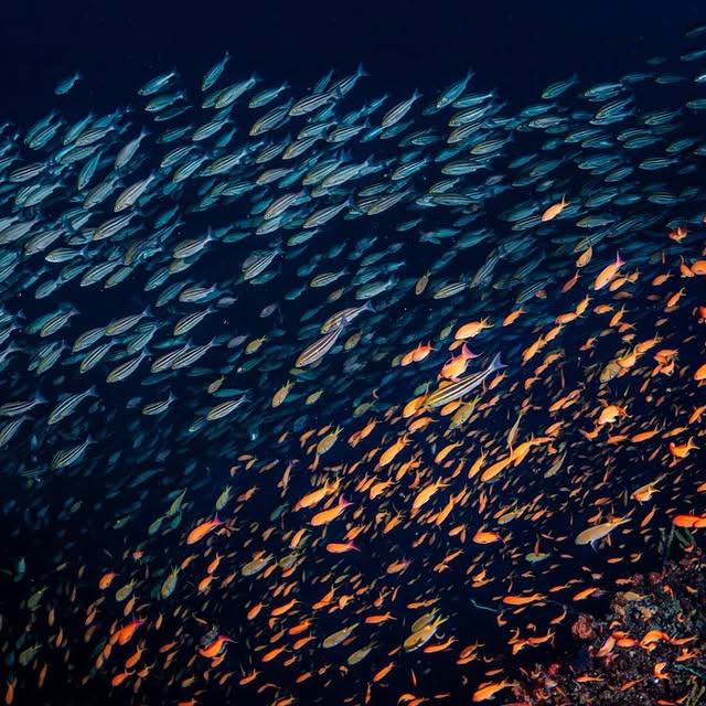 Post by islife_kosei