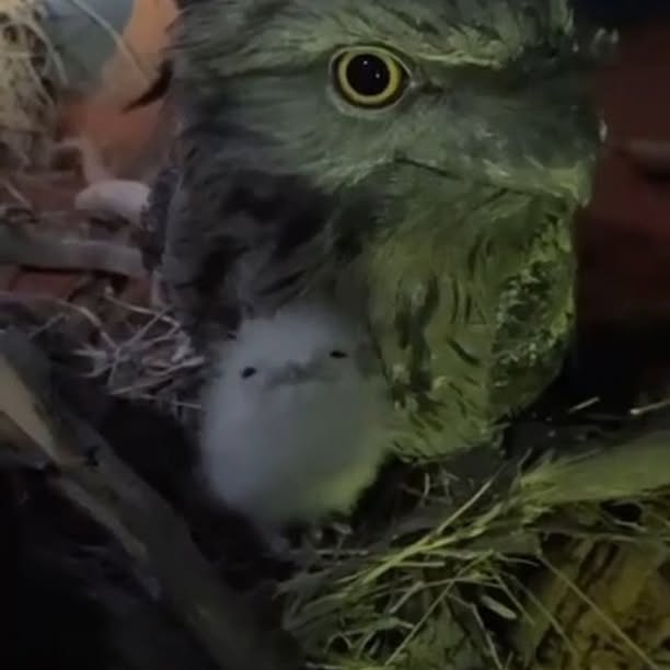 Post by visitcentralaus