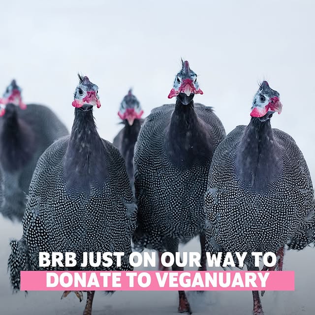 Post by weareveganuary