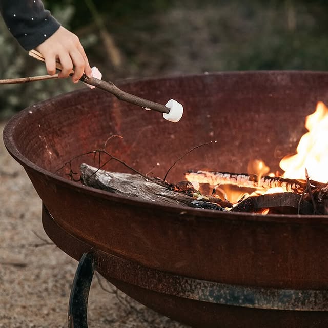 Post by theplot_binnaburra