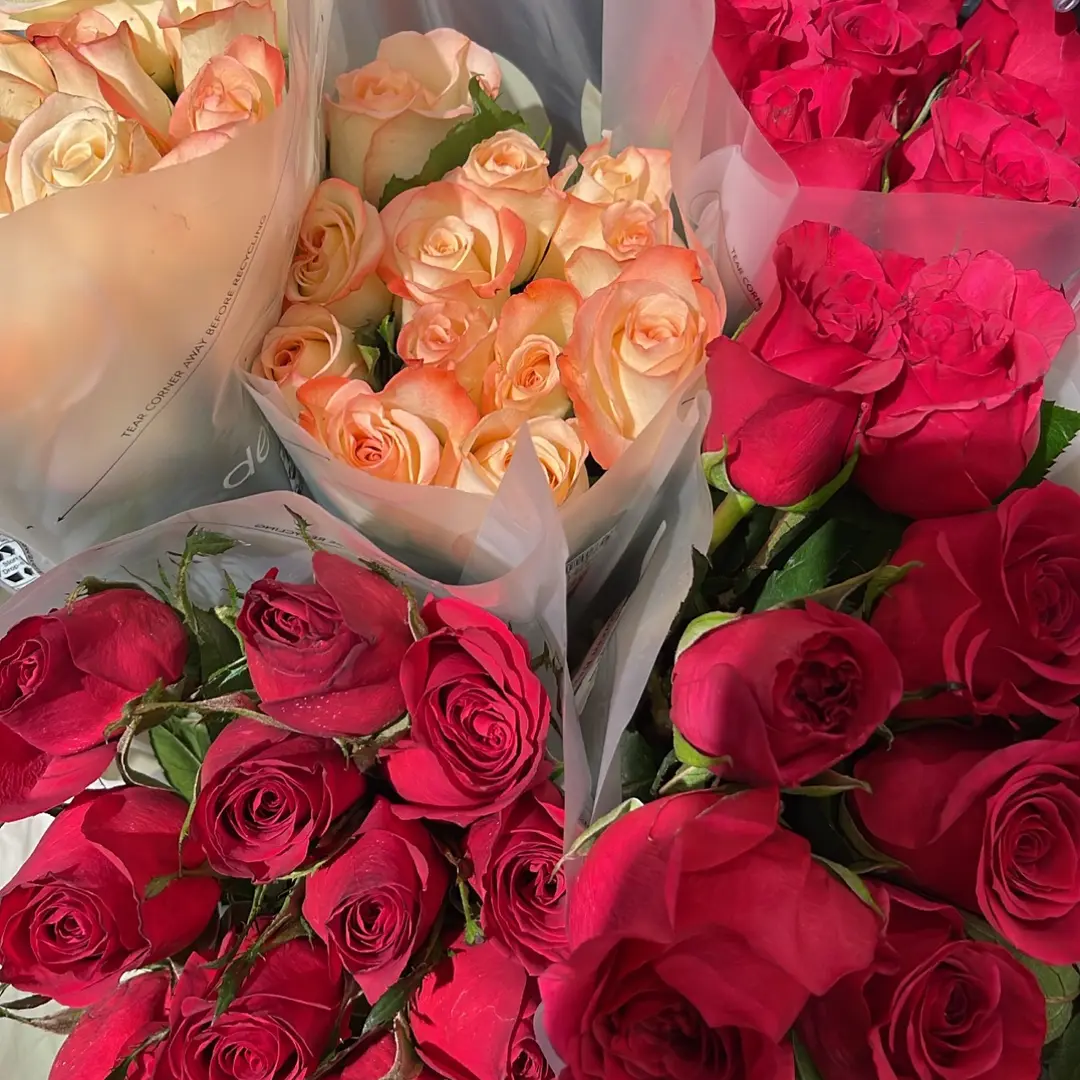 My🤍🤍's profile picture