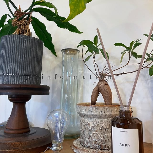 Post by ___.alun.___