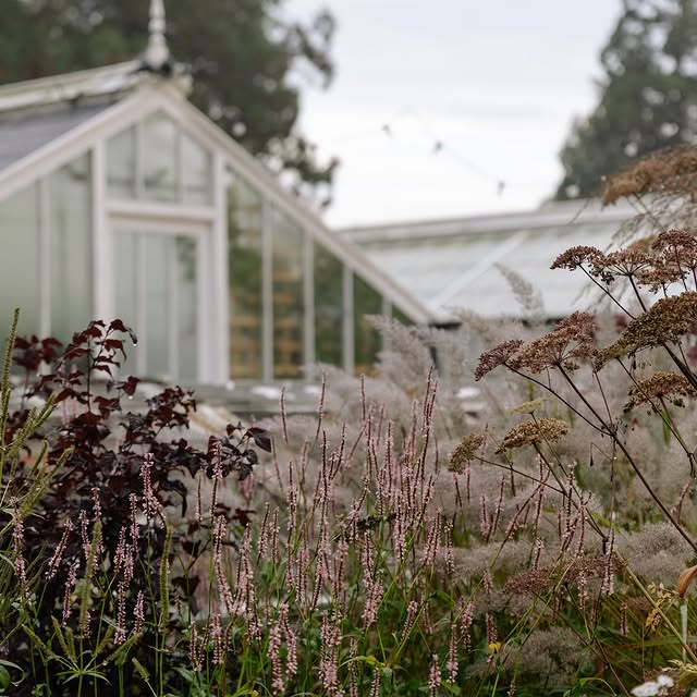 Post by jothompson.studio