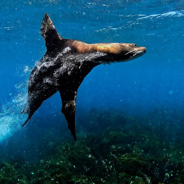 Post by kath.sea.fish