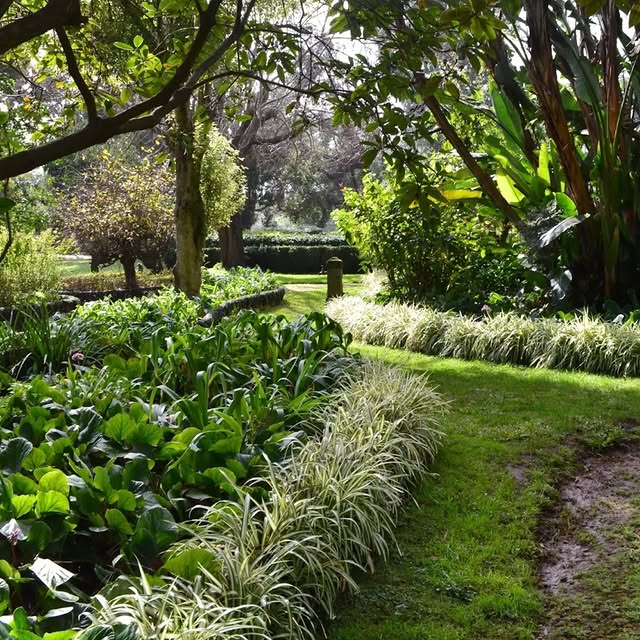 Post by sofiehills_tradgard