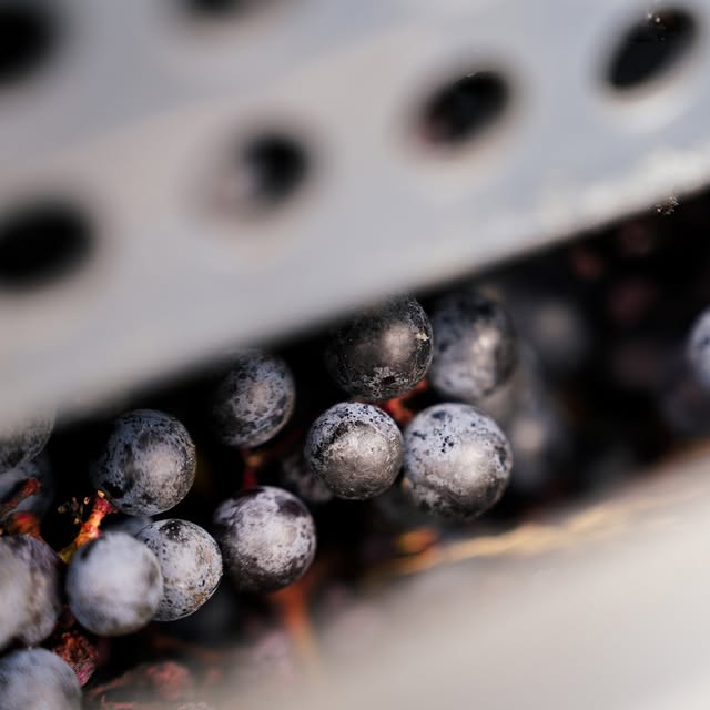 Post by chateau_lafonrochet