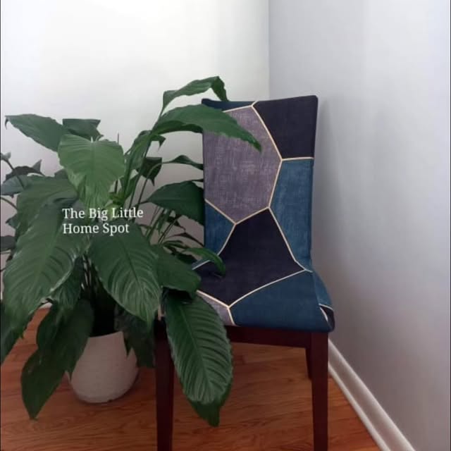 Post by thebiglittlehomespottt