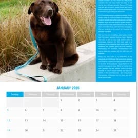 Post by labrador.rescue.australia