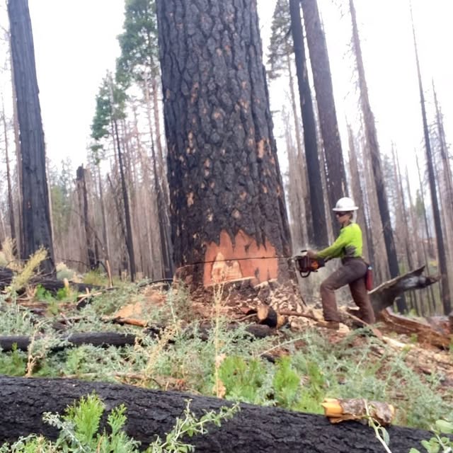 Post by urlocallumberjill