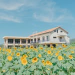 SummerSnow's profile picture