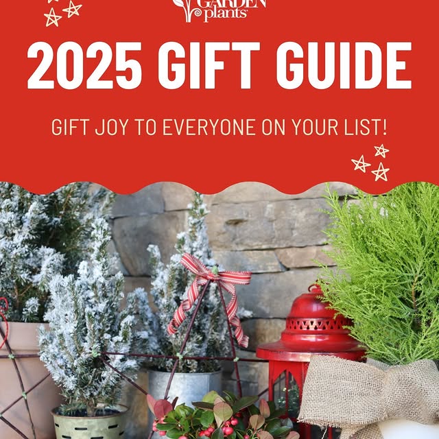 Post by greatgardenplants