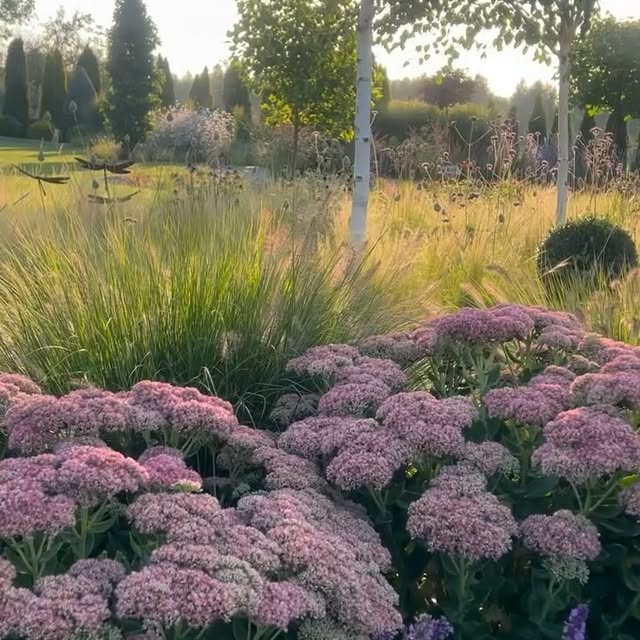 Post by szczypiorkatarzyna