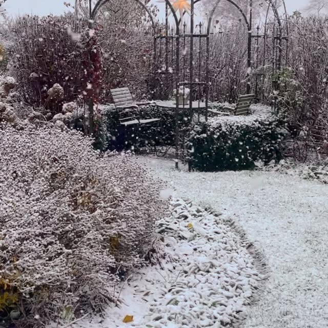 Post by katrinsgarten