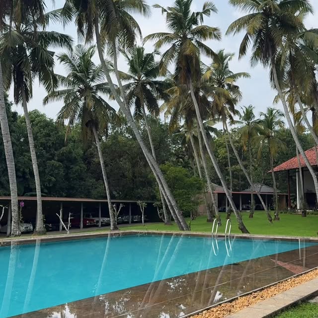 Post by alisonwijemanne