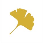 Hey Butterfly Studio's profile picture