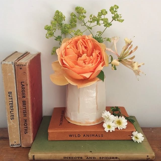 Post by katesinthegarden