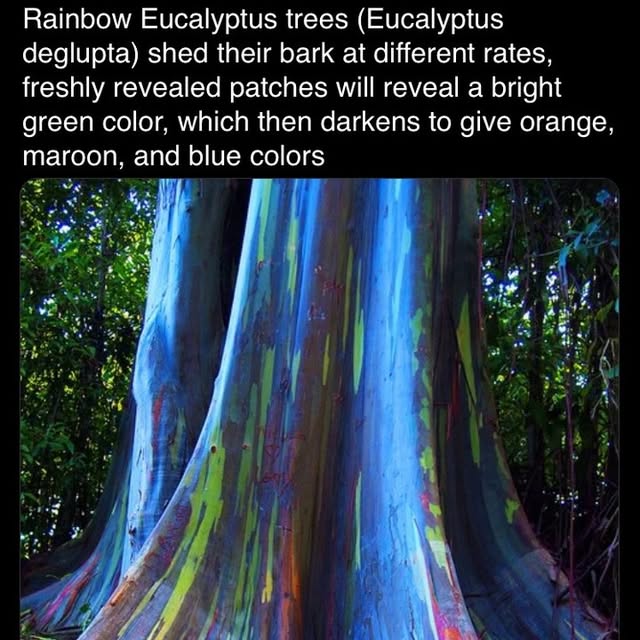 Post by jerryscience