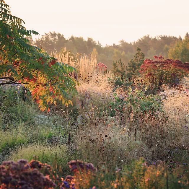 Post by vill_hageglede