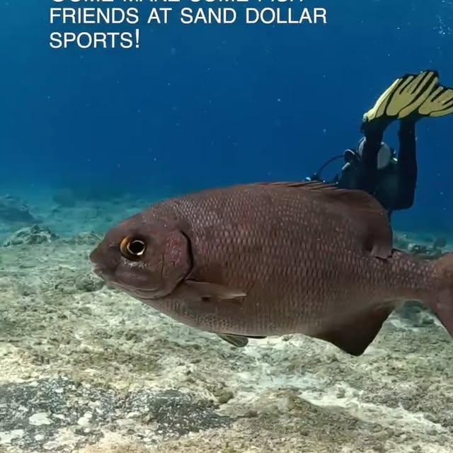 Post by brett_hoelzer