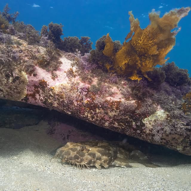 Post by hylton_in_nature
