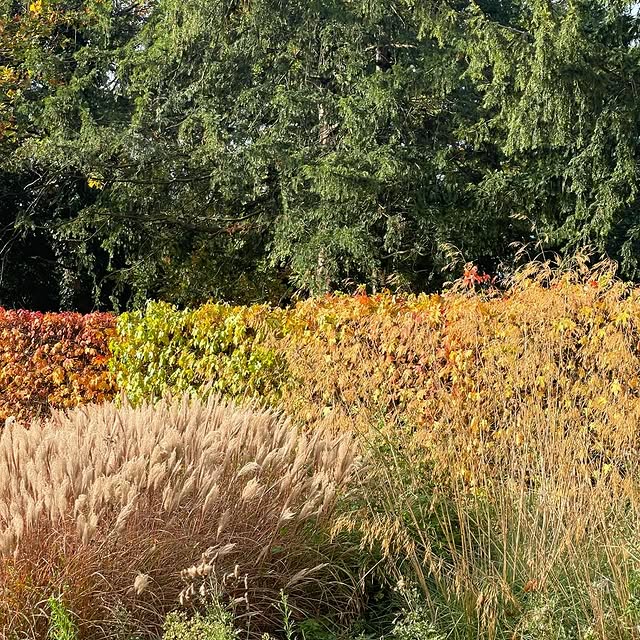 Post by ruth_willmott_associates