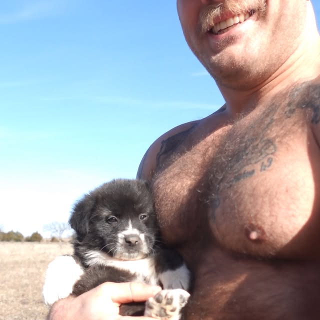 Post by thejackedrancher