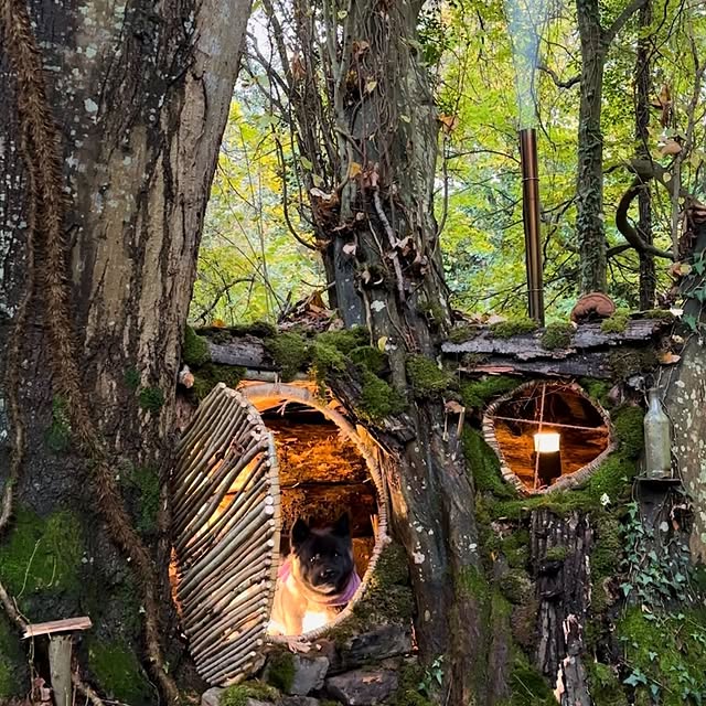 Post by bushcraft_hakan_karahan