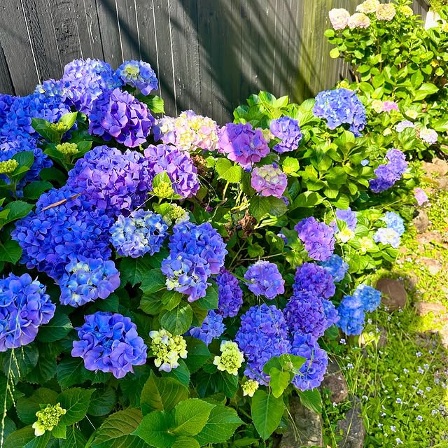 Post by gretacottage_gerringong