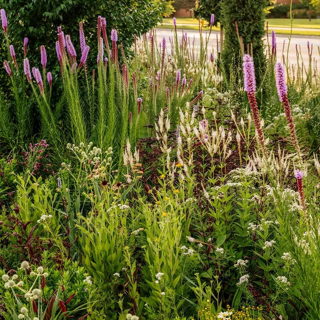 Post by kellydnorris