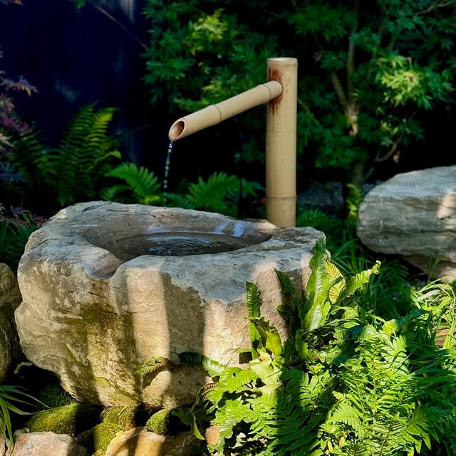 Post by tomhowardgardens