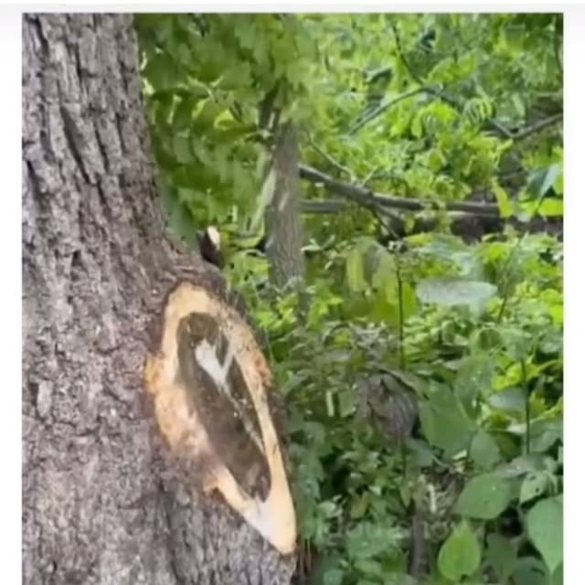 Post by thehandjobwakeup