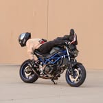 Dame Darsii's profile picture