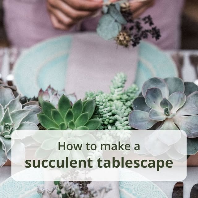 Post by crocus.co.uk