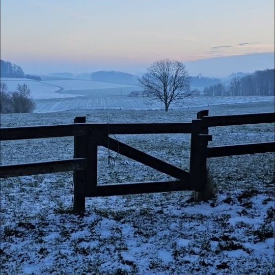 Post by tashas_garten