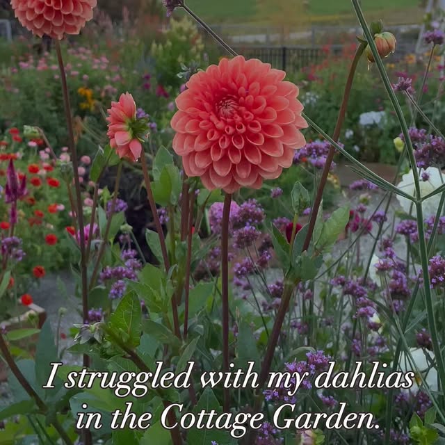 Post by bochnerfarms